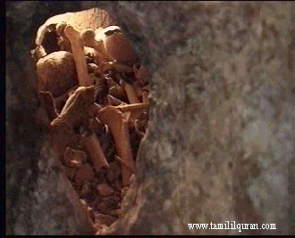Bones of Cave people